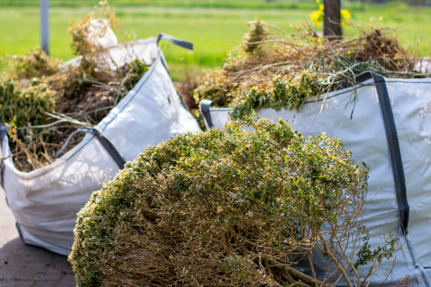 Best Retail Junk Removal  in Wrens, GA